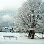 Apartment Haus Puntigam Bad Goisern