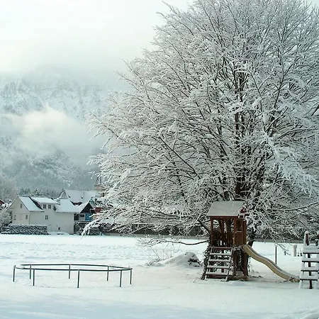 Apartamento Haus Puntigam Bad Goisern