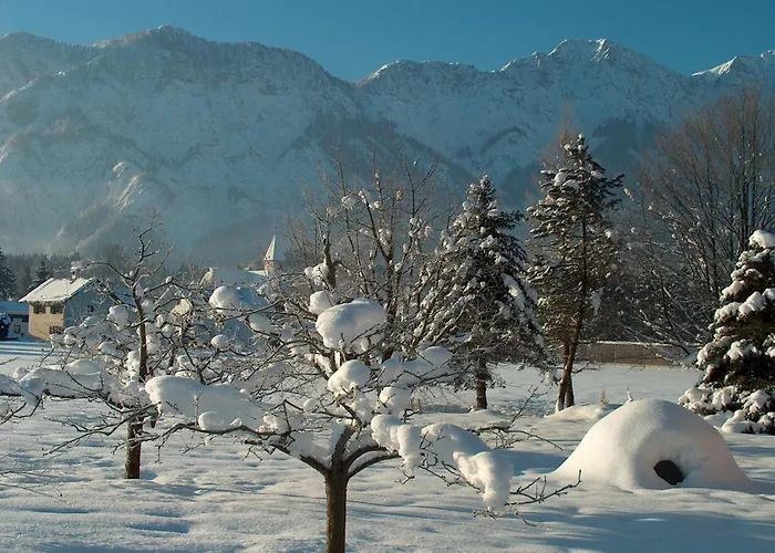 Haus Puntigam Διαμέρισμα